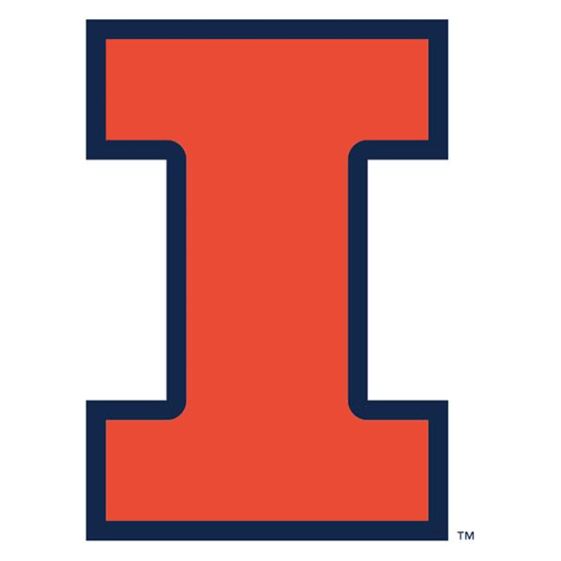 Illinois Fighting Illini iron ons